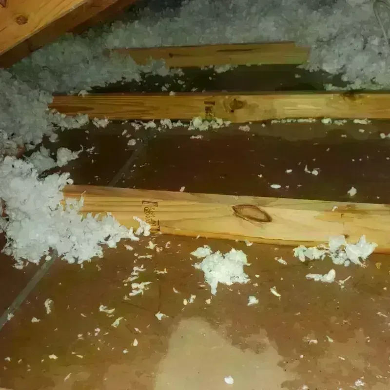 Attic Water Damage in North Stamford, CT